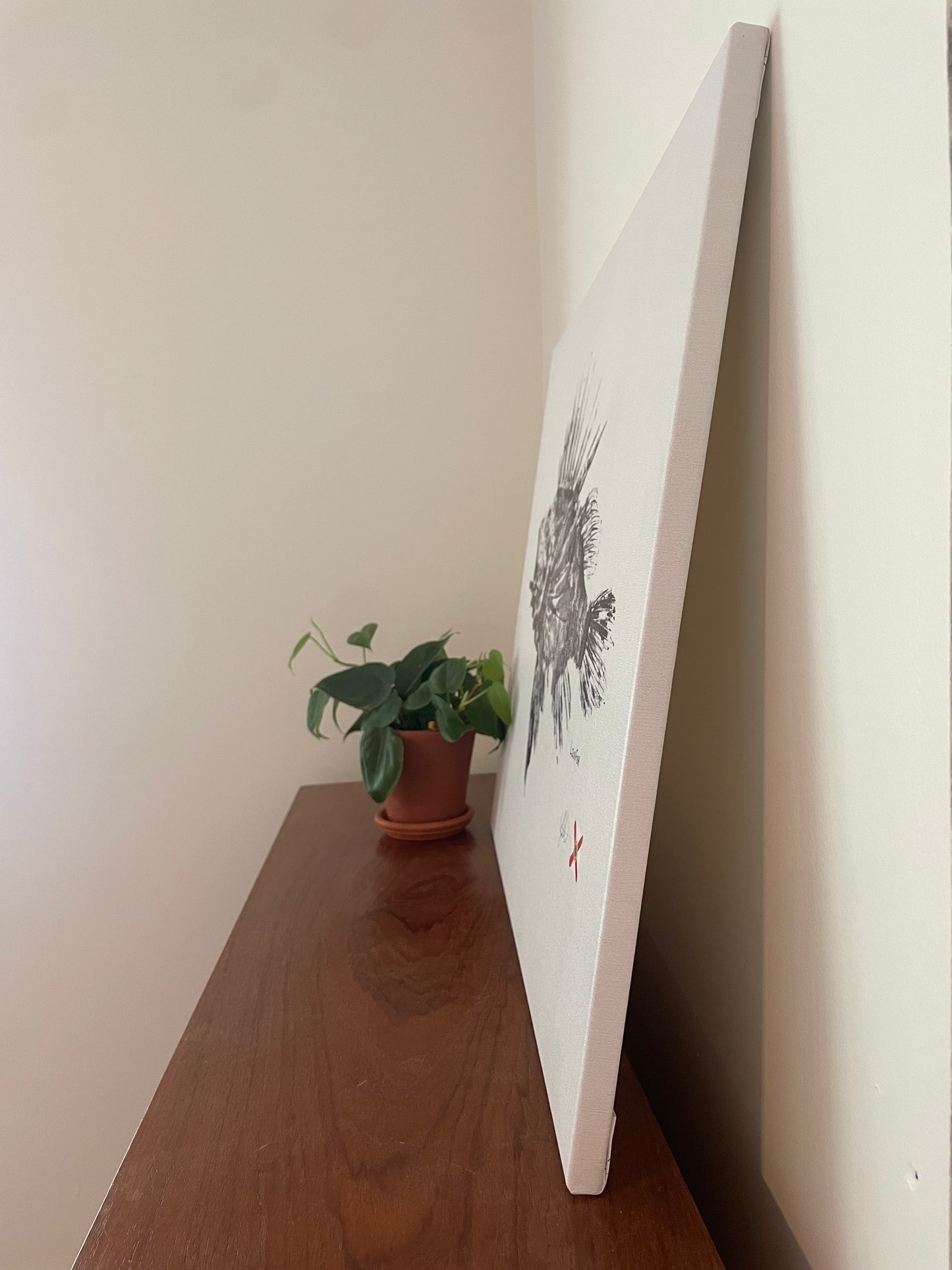Lionfish Black (reprint)