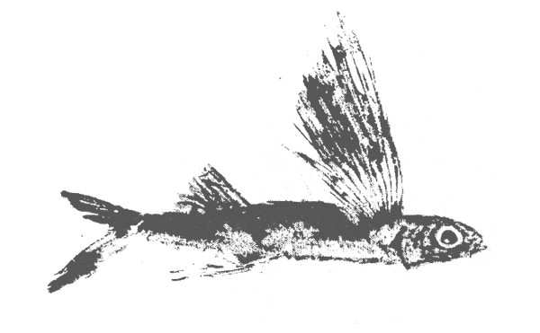 Swell Seeker Fish Prints logo