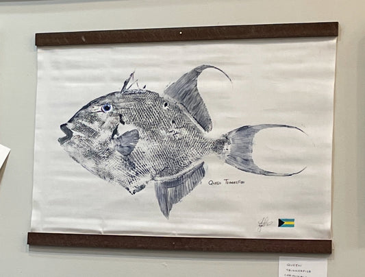 Queen Triggerfish (original) (walnut frame)
