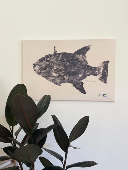 Ocean Triggerfish (reprint)