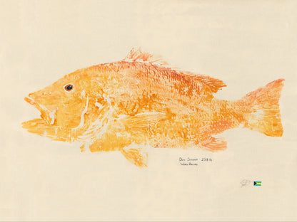 World Record Dog Snapper (reprint)