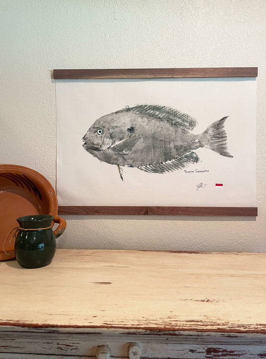 Thompson's Surgeonfish (original)