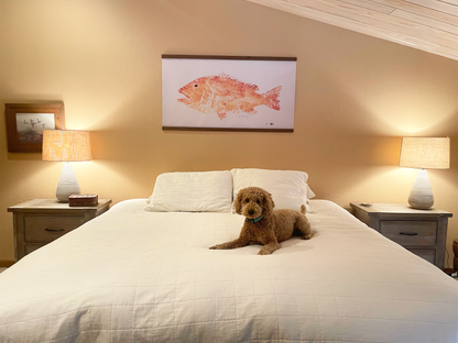World Record Dog Snapper (reprint)