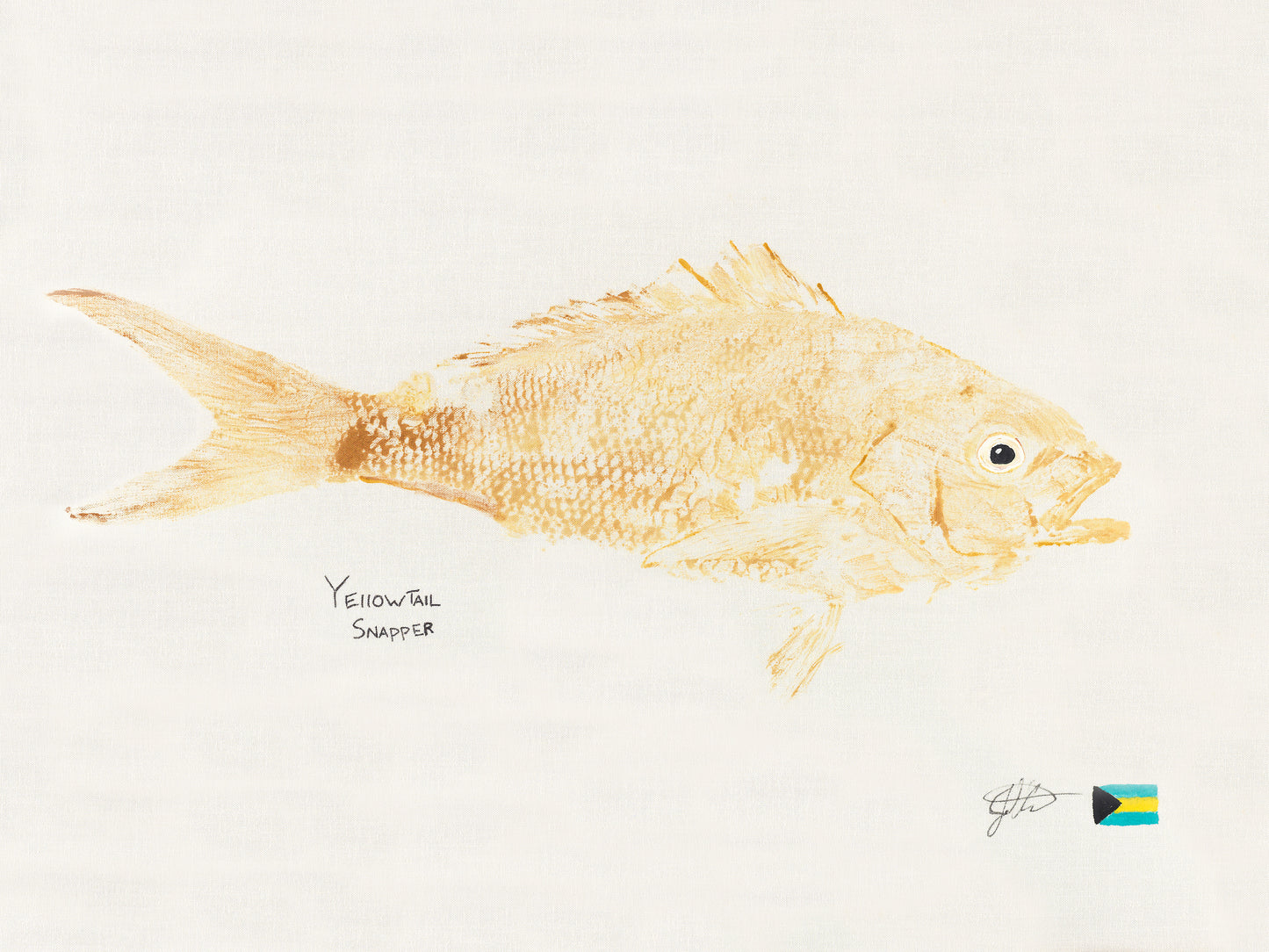 Yellowtail Snapper (original)