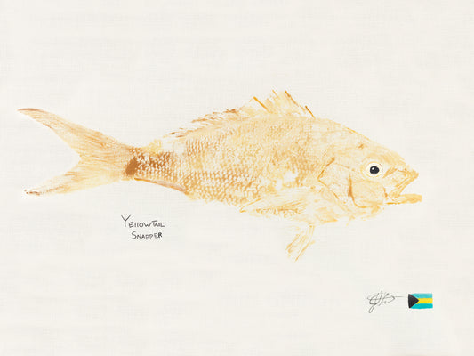 Yellowtail Snapper (original)